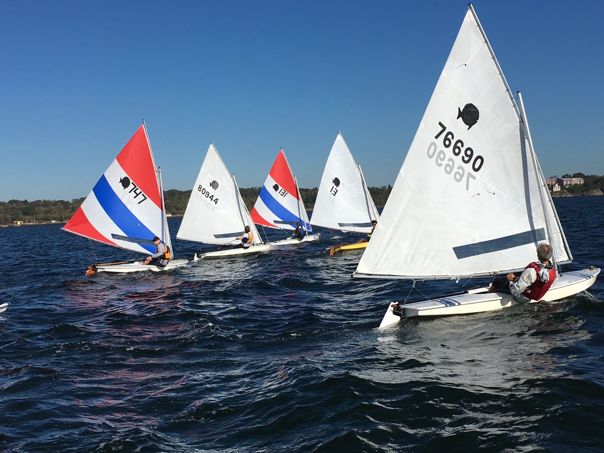 Small sailboats racing upwind